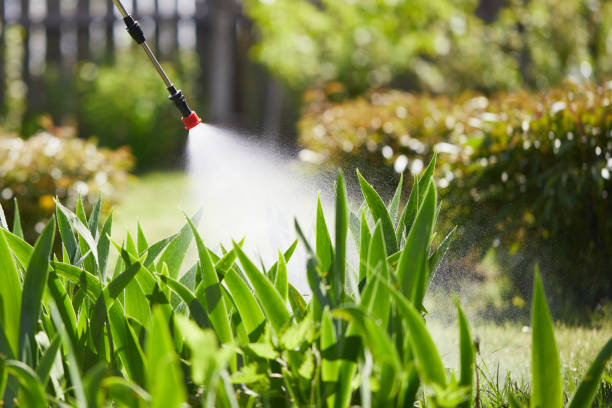 24/7 Emergency Mosquito Control experts in Glendora, CA
